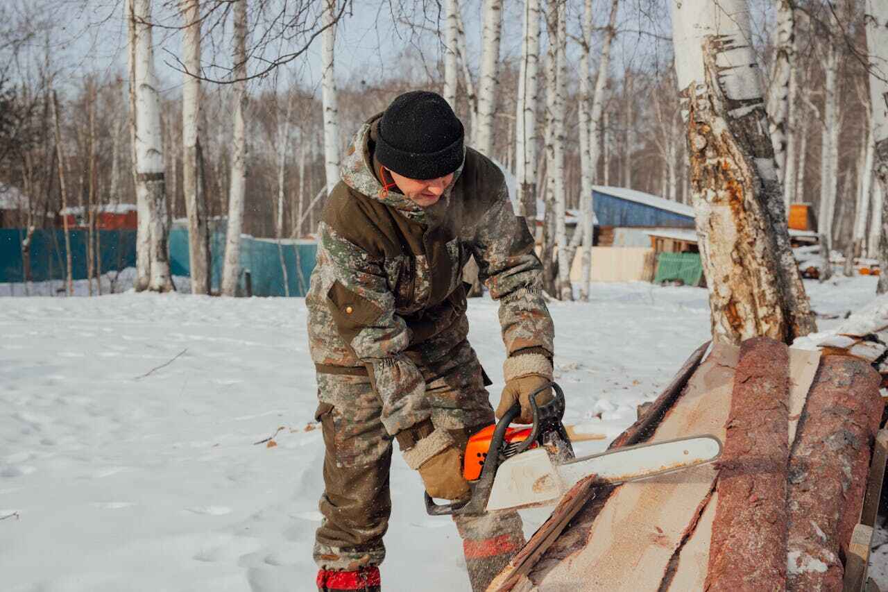 Best Tree Trimming Near Me  in USA